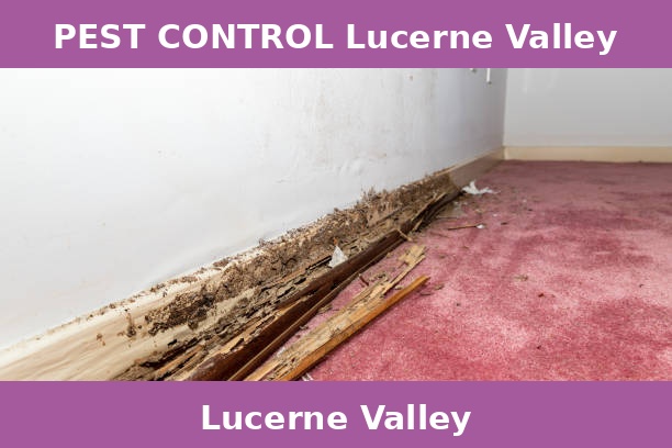 PEST CONTROL Lucerne Valley